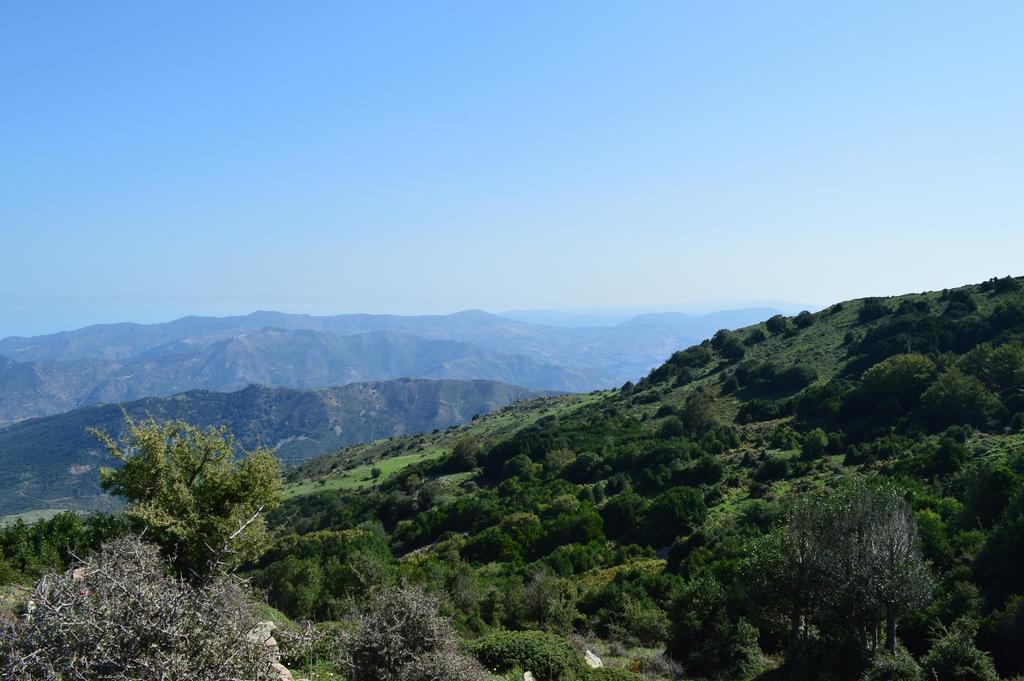 Il Castello Bed & Breakfast เปตราเลีย ซอตตานา ภายนอก รูปภาพ