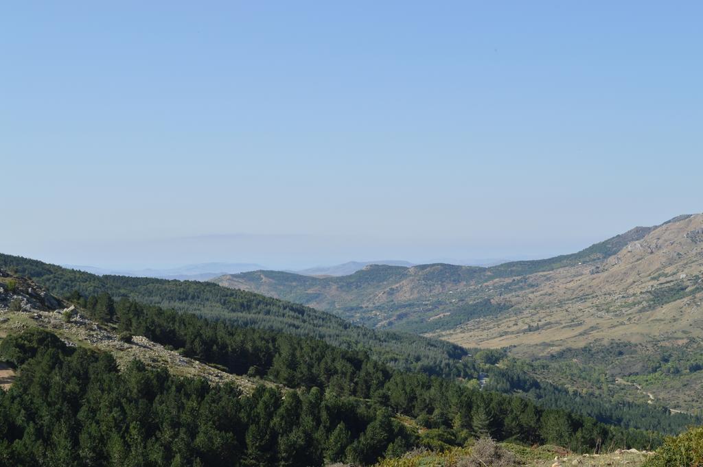 Il Castello Bed & Breakfast เปตราเลีย ซอตตานา ภายนอก รูปภาพ